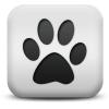 Captcha image 9245